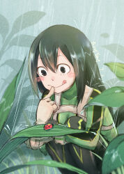  1girl :q asui_tsuyu blush_stickers bodysuit boku_no_hero_academia bow-shaped_hair bug chest_harness covered_collarbone double-parted_bangs finger_to_mouth gloves grass green_bodysuit green_hair grey_eyes hair_between_eyes harness highres insect knees_to_chest ladybug long_hair looking_at_animal nature outdoors qing_yang rain raised_eyebrows sidelocks smile squatting superhero_costume tareme tongue tongue_out water_drop wet white_gloves 