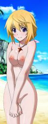  1girl beach blonde_hair breasts charlotte_dunois completely_nude highres infinite_stratos medium_breasts nipples nude ocean ponytail purple_eyes smile solo standing  rating:Explicit score:36 user:Hamaterasu25