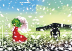  2girls absurdres bow cover cover_page female_focus field flower flower_field from_behind green_hair hat hat_bow highres kazami_yuuka kirisame_marisa long_skirt looking_back mountain multiple_girls muscular petals plaid plaid_skirt plaid_vest red_eyes skirt skirt_set touhou umbrella vest wi-z_garage witch_hat 