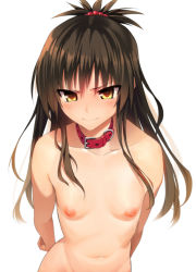 1girl arms_behind_back blush breasts brown_eyes brown_hair collar collarbone hair_ornament highres long_hair navel nipples nude simple_background small_breasts solo to_love-ru ts422 yuuki_mikan rating:Questionable score:139 user:danbooru