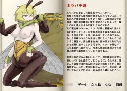 1girl antennae arthropod_girl artist_request bee_girl blonde_hair book breasts character_profile honey insect_girl kneeling mon-musu_quest! monster_girl translation_request wings rating:Explicit score:9 user:Furio