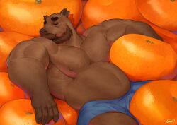  1boy absurdres animal_ears bara beard belly blue_male_underwear boxers bulge capybara_ears closed_eyes convenient_censoring cowboy_shot facial_hair facing_to_the_side food fruit full_beard furry furry_male hairy highres huge_eyebrows large_pectorals lemz_(adrawingpotato) lying male_focus male_underwear mandarin_orange mature_male muscular muscular_male navel nipples on_back original outstretched_arms oversized_food oversized_object pectorals short_hair sleeping solo spread_arms stomach strongman_waist thick_beard thick_mustache topless_male underwear 