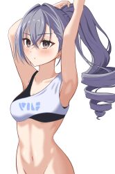  1girl armpits arms_up bare_arms bare_shoulders black_bra blush bra breasts commentary crop_top drill_hair grey_eyes grey_hair groin hair_intakes highres honkai:_star_rail honkai_(series) long_hair looking_at_viewer medium_breasts midriff navel out-of-frame_censoring ponytail seshirun shirt silver_wolf_(honkai:_star_rail) simple_background single-shoulder_shirt solo stomach underwear white_background white_shirt 