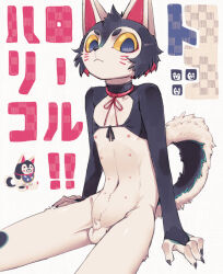  1boy :&lt; animal_ears animal_penis black_fur black_hair blue_eyes body_fur bottomless choker claws closed_mouth colored_inner_hair colored_sclera commentary_request cowboy_shot dog_boy dog_ears dog_tail extra_nipples furry furry_male inu-hariko looking_at_viewer male_focus multicolored_hair original penis red_choker red_hair sasamichr short_eyebrows short_hair shota sitting slit_pupils small_penis solo tail translation_request white_background white_fur yellow_sclera 