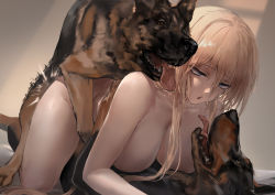  1girl absurdres all_fours azur_lane bestiality bismarck_(azur_lane) blonde_hair breasts dog doggystyle double_penetration group_sex highres large_breasts medium_breasts mmf_threesome nude polki sex sex_from_behind threesome  rating:Explicit score:439 user:EternalZero
