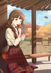 1girl autumn autumn_leaves belt bench blue_sky blurry blurry_background blurry_foreground brown_eyes brown_hair cloud commentary covering_own_mouth cowboy_shot day depth_of_field dress expressionless falling_leaves gazebo holding holding_leaf leaf long_hair long_sleeves looking_to_the_side maple_leaf original outdoors pinafore_dress plaid plaid_dress red_dress sett shadow shirt sky sleeveless sleeveless_dress solo standing unya_(unya-unya) white_shirt wind rating:Sensitive score:3 user:danbooru