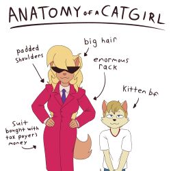  1boy 1girl age_difference anatomy_of_a_gamer_(meme) animal_ears artist_request callie_briggs callmewritefag_(artist) cat_ears cat_tail furry glasses highres looking_at_viewer meme onee-shota simple_background solo sunglasses swat_kats tail white_background  rating:General score:9 user:danbooru
