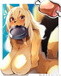  1girl animal_ears animal_nose arms_under_breasts bad_id bad_twitter_id blonde_hair blue_sky blurry blurry_background blush body_fur boned_meat border bowl breasts breath brown_eyes day dog_ears dog_girl dog_tail fangs food furry furry_female highres huge_breasts lens_flare long_hair meat mouth_hold no_nipples non-circular_lens_flare nude original outside_border pet_bowl pyoin_pyoin sky solo sunlight sweat tail white_border 