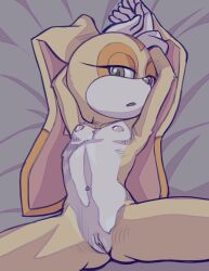  1girl 2024 20s animal_ears armpits arms_up bed_sheet brown_eyes clitoris collarbone completely_nude cream_the_rabbit eco19 female_focus flat_chest furry furry_female gloves gluteal_fold highres loli long_ears looking_at_viewer lying navel nipples nude on_back on_bed parted_lips pussy rabbit_ears ribs sega solo sonic_(series) stomach thick_thighs thighs white_gloves 