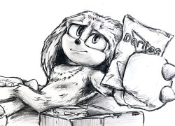  1boy curly_quills doritos graphite_(medium) greyscale highres holding incoming_gift knuckles_the_echidna looking_at_viewer lying male_focus monochrome no_humans on_back simple_background sketch smile solo sonic_(series) traditional_media white_background 