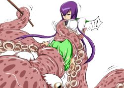  1girl bhm breasts busujima_saeko female_focus highschool_of_the_dead large_breasts long_hair octopus purple_hair solo tentacles vore white_background  rating:Questionable score:37 user:ramza91
