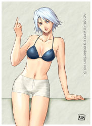 azasuke bikini christie_(doa) dead_or_alive highres swimsuit tecmo rating:Explicit score:12 user:Anonymous