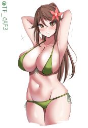 1girl amagi_(kancolle) arms_behind_head bikini breasts brown_eyes brown_hair cleavage cowboy_shot cropped_legs flower front-tie_bikini_top front-tie_top green_bikini groin hair_flower hair_ornament highres kantai_collection large_breasts long_hair lowleg lowleg_bikini one-hour_drawing_challenge ponytail side-tie_bikini_bottom simple_background solo swimsuit tf_cafe twitter_username white_background wide_ponytail 