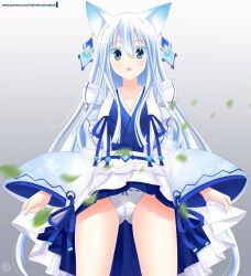  1girl animal_ears blue_eyes blush cameltoe cleft_of_venus clothes_lift earrings embarrassed fairy_fencer_f fox_ears from_below gluteal_fold gradient_background helvetica_std highres japanese_clothes jewelry karin_(fairy_fencer_f) kimono layered_clothes layered_kimono leaf long_hair looking_at_viewer miko obi open_mouth panties patreon_username sash skirt skirt_lift sleeves_past_wrists solo underwear upskirt very_long_hair white_hair white_kimono wind wind_lift 