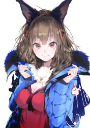 1girl animal_ear_fluff animal_ears backpack bag bag_charm blue_coat breasts brown_eyes brown_hair cat_ears charm_(object) cleavage closed_mouth coat dress fur-trimmed_coat fur_trim highres kiriyama large_breasts long_hair long_sleeves looking_at_viewer open_clothes open_coat original pom_pom_(clothes) red_dress smile solo thick_eyebrows undressing upper_body rating:Sensitive score:6 user:danbooru