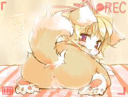  1girl animal_ears anus ass battery_indicator blonde_hair blush bow claws cleft_of_venus dog female_focus furry furry_female gradient_background hair_bow loli lolo_(kemonono) looking_back manuel_guzman_(lolo) open_mouth pawpads purple_eyes pussy recording ro short_hair solo tail text_focus translated  rating:Explicit score:259 user:Furio