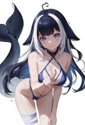  1girl absurdres ahoge bare_shoulders bikini blue_bikini blue_collar blue_eyes blue_hair blue_nails body_markings breasts cetacean_tail chest_tattoo cleavage closed_mouth collar commentary facial_tattoo fingernails fins fish_tail halterneck hand_on_own_knee heart heart_ahoge highres index_finger_raised indie_virtual_youtuber large_breasts leaning_forward long_hair looking_at_viewer mirei-yume multicolored_hair nail_polish navel orca_girl pointing pointing_at_viewer shylily shylily_(bikini) simple_background smile solo stomach streaked_hair swimsuit tail tattoo thigh_strap virtual_youtuber wet wet_clothes wet_face wet_swimsuit white_background white_hair  rating:Sensitive score:39 user:danbooru