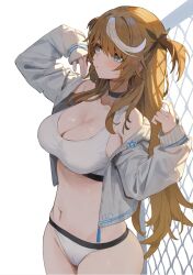  1girl aqua_eyes black_choker breasts brown_hair choker cleavage commentary_request fence grey_jacket highres jacket large_breasts long_hair long_sleeves mochi-chan_(simao) multicolored_hair navel open_clothes open_jacket original simao_(x_x36131422) simple_background solo streaked_hair thighs two_side_up white_background white_hair  rating:Sensitive score:12 user:danbooru
