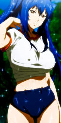 1girl absurdres arm_up blue_hair blurry blush breasts brown_eyes buruma covered_erect_nipples depth_of_field female_focus gym_uniform hair_between_eyes hair_intakes head_tilt highres huge_breasts light_smile long_hair long_image looking_at_viewer maken-ki! midriff nijou_aki no_bra outdoors screencap shade shiny_skin smile solo sparkle standing stitched sweat takami_akio tall_image thigh_gap third-party_edit tree twintails rating:Questionable score:70 user:goldoa