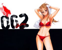 1girl absurdres armpits bikini bra breasts brown_hair cleavage female_focus highres highschool_of_the_dead long_hair miyamoto_rei official_art panties red_bikini red_eyes satou_shouji simple_background solo standing swimsuit underwear wet white_background rating:Questionable score:45 user:arutos