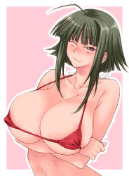  1girl ahoge arms_under_breasts bikini bikini_top_only blush bra breasts cleavage closed_mouth collarbone covered_erect_nipples crossed_arms fuyube_rion green_eyes green_hair hair_ribbon hair_tie happy highres hime_cut huge_breasts looking_at_viewer mahou_sensei_negima! matching_hair/eyes nagase_kaede navel nipples one_eye_closed outline pink_background red_bikini red_bra ribbon short_hair simple_background smile solo string string_bikini string_bra swimsuit underwear upper_body white_outline white_ribbon wink  rating:Explicit score:37 user:Furio