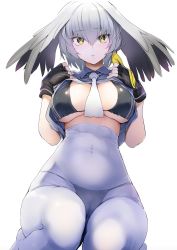 10s 1girl bikini bikini_under_clothes black_bikini black_gloves bodystocking breasts cameltoe clothes_lift covered_erect_nipples fingerless_gloves from_below gloves hair_between_eyes head_wings highres kemono_friends large_breasts navel nylon_(nylon_100%) pantyhose pantyhose_over_swimsuit parted_lips shirt_lift shoebill_(kemono_friends) silver_hair simple_background sitting solo string_bikini swimsuit swimsuit_under_clothes wariza white_background wings yellow_eyes rating:Questionable score:47 user:danbooru