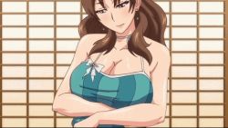  1girl animated breasts brown_eyes brown_hair clothes_lift female_focus indoors large_breasts long_hair lowres miboujin_nikki nipples no_bra shirt shirt_lift solo sonomura_ayako undressing 