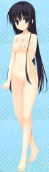  1girl absurdres amagiri_yune amairo_islenauts barefoot black_hair breasts censored covering_privates feet green_eyes highres muririn nipples no_pussy nude toes  rating:Explicit score:35 user:wind288@excite.co.jp