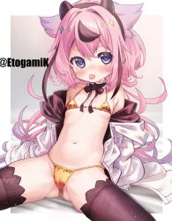  1girl :p artist_name ass bikini black_thighhighs breasts cameltoe coat etogami_kazuya fake_horns gold_bikini groin hair_flaps highres horns leaning_back loli long_hair meika_mikoto micro_bikini multicolored_hair navel open_clothes open_coat pink_eyes pink_hair sitting sleeves_past_wrists small_breasts solo spread_legs stomach streaked_hair swimsuit thighhighs thighs tongue tongue_out vocaloid white_coat 
