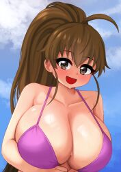  1girl :d ahoge arms_under_breasts big_hair bikini blush breasts brown_eyes brown_hair cleavage cloud collarbone huge_breasts long_hair looking_at_viewer open_mouth outdoors pink_bikini ponytail sideboob skindentation sky smile solo sweat swimsuit taneshima_popura the_only_shoe upper_body wet working!! 