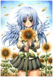  1girl angel_beats! angel_wings blue_hair blush commission emperpep flower highres holding holding_plant light_blue_hair long_hair long_sleeves looking_at_viewer painting_(medium) petals plant pleated_skirt school_uniform skirt smile solo standing sunflower tenshi_(angel_beats!) traditional_media watercolor_(medium) wings yellow_eyes 