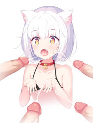  1girl animal_ears black_bra blush bra breasts bukkake cat_ears collar cum cum_in_mouth highres kagami_(galgamesion) loli penis small_breasts tagme uncensored underwear white_hair yellow_eyes  rating:Explicit score:101 user:SmuttyArchiver