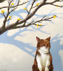  animal branch cat closed_eyes day highres kashimuraito no_humans orange_cat orange_fur original outdoors shadow 