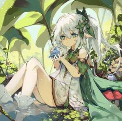  1girl absurdres animal bare_shoulders bird cross-shaped_pupils day detached_sleeves dress feet_out_of_frame from_side genshin_impact green_eyes green_pupils hair_ornament highres holding holding_animal holding_bird knees_together_feet_apart knees_up leaf leaf_hair_ornament lily_pad long_hair mumomomomo mushroom nahida_(genshin_impact) outdoors pointy_ears side_ponytail sitting sleeveless sleeveless_dress soaking_feet socks solo symbol-shaped_pupils water white_dress white_hair white_socks 