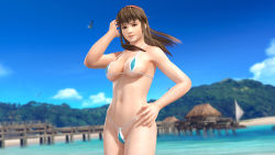 1girl 3d beach bikini breasts brown_hair dead_or_alive dead_or_alive_xtreme_3_fortune dead_or_alive_xtreme_beach_volleyball female_focus hitomi_(doa) large_breasts long_hair micro_bikini nature ocean official_art outdoors plant sky solo swimsuit tecmo rating:Questionable score:33 user:jojosstand