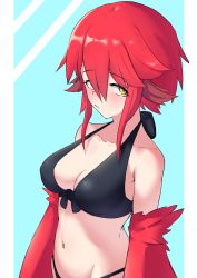  1girl absurdres animal_ears bare_shoulders bikini bird_ears black_bikini blue_background breasts commentary english_commentary feathers hair_between_eyes harpy highres light_blush long_hair medium_breasts midriff monster_girl navel original red_(thus0) red_feathers red_hair red_wings sidelocks solo swimsuit thus0thus two-tone_background white_background winged_arms wings yellow_eyes  rating:Sensitive score:10 user:danbooru