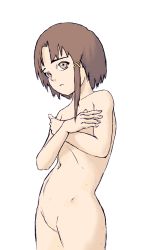  1girl blush brown_eyes brown_hair hands_on_own_chest highres iwakura_lain nude serial_experiments_lain standing tagme  rating:Explicit score:36 user:robblu