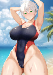  1girl absurdres armpits arms_up beach black_one-piece_swimsuit blue_sky blurry blurry_background breasts cameltoe cleavage closed_mouth cloud commentary_request competition_swimsuit covered_erect_nipples covered_navel cowboy_shot day green_eyes groin highleg highleg_swimsuit highres horizon large_breasts looking_at_viewer ocean one-piece_swimsuit original outdoors palm_tree presenting_armpit ranhatu red_one-piece_swimsuit sky solo standing swimsuit taut_clothes taut_swimsuit thick_thighs thighs tree two-tone_swimsuit wet white_hair wide_hips  rating:Sensitive score:27 user:danbooru
