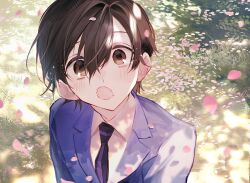 1girl absurdres androgynous arms_at_sides black_necktie blazer blue_jacket blush brown_eyes brown_hair closed_mouth collared_shirt covered_mouth dappled_sunlight day falling_petals from_above fujioka_haruhi grass hair_between_eyes highres jacket long_sleeves looking_at_viewer necktie ouran_high_school_host_club outdoors petals portrait school_uniform shirt short_hair sidelocks solo sunlight u-sama_(u_summer0719) white_shirt 