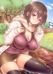  1girl bag bench black_thighhighs blush breasts brown_eyes brown_hair cameltoe cardigan cloud covered_erect_nipples day female_focus fence grass impossible_clothes impossible_shirt jacket koorizu large_breasts long_hair looking_at_viewer miniskirt open_cardigan open_clothes open_mouth original outdoors panties pantyshot park_bench petals purple_eyes ribbed_sweater scarf shirt sitting skirt sky solo sweater thighhighs tree underwear upskirt white_panties  rating:Questionable score:70 user:lkjh098