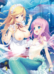 2girls apron artist_request blonde_hair blue_eyes blush breastless_clothes breasts bubble fins fish flat_chest head_fins highres jellyfish large_breasts long_hair mermaid monster_girl multiple_girls nipples open_mouth purple_eyes purple_hair senji_(tegone_spike) shawl shell shell_bikini small_breasts smile tiara underwater waist_apron rating:Questionable score:59 user:danbooru