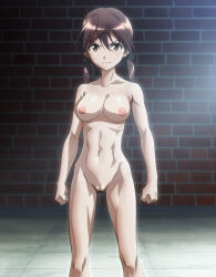  1girl absurdres breasts brown_eyes brown_hair closed_mouth collarbone completely_nude gertrud_barkhorn highres indoors looking_at_viewer medium_breasts navel nude smile solo strike_witches third-party_edit twintails world_witches_series  rating:Explicit score:11 user:engi02
