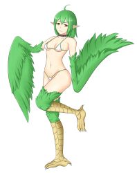  1girl :3 absurdres ahoge bikini breasts choker closed_mouth collarbone feathered_wings feathers female_pubic_hair full_body green_bikini green_eyes green_hair hair_between_eyes harpy highres hip_bones leg_up looking_at_viewer medium_hair micro_bikini monster_girl navel original pointy_ears pubic_hair scales simple_background smile standing standing_on_one_leg swimsuit talons vatx white_background winged_arms wings 