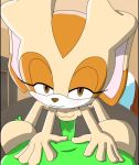  1boy 1girl animated cream_the_rabbit furry hetero loli looking_at_viewer pov riding sex smile sonic_(series) sonic_(series) sound tagme uncensored vaginal video  rating:Explicit score:93 user:Hunter_of_Lolis