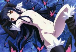 10s 1girl accel_world armpits black_hair brown_eyes bug butterfly butterfly_wings cameltoe elbow_gloves female_focus flat_chest gloves insect insect_wings kuroyukihime loli long_hair lying megami_magazine navel nipples nude nude_filter pussy solo tabata_hisayuki thighhighs third-party_edit uncensored wings rating:Explicit score:228 user:Shirosaya