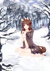  1girl breasts holo nipples small_breasts snow spice_and_wolf tagme tail topless  rating:Explicit score:12 user:Greenhill