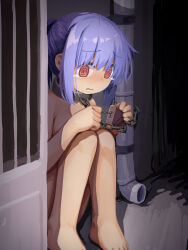  1girl @_@ alley bdsm blush bondage bound chain chained closed_mouth collar dot_nose drainpipe exhibitionism female_focus hair_between_eyes hassai highres leash lock loli looking_at_object nose_blush nude original padlock ponytail public_indecency public_nudity purple_hair red_eyes sitting slave tearing_up wavy_mouth worried  rating:Explicit score:146 user:laura.loli