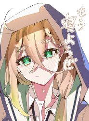 Rule 34 | 1girl, antenna hair, bad id, bad twitter id, black necktie, blush, bright pupils, brown hair, closed mouth, collared shirt, crossed bangs, e sky rugo, green eyes, hair between eyes, head tilt, hood, hood up, long hair, looking at viewer, necktie, original, portrait, shirt, solo, white background, white pupils, white shirt, wing collar