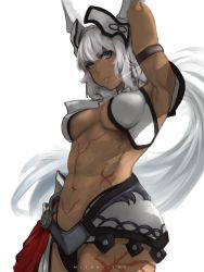 Rule 34 | 1girl, abs, animal ears, armor, armpits, bikini, black bikini, black gloves, black thighhighs, blue eyes, body markings, breasts, caenis (fate), cape, dark-skinned female, dark skin, elbow gloves, fate/grand order, fate (series), faulds, gloves, hair intakes, headpiece, highleg, highleg bikini, highleg bikini bottom, highres, large breasts, long hair, looking at viewer, mizuhi yuu, navel, parted lips, pauldrons, ponytail, red cape, shoulder armor, solo, swimsuit, tattoo, thigh gap, thighhighs, waist cape, white background, white hair