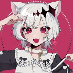 Rule 34 | animal ears, cat ears, collar, dtto., nail polish, red background, red eyes, red nails, scarz, utaite, virtual youtuber, white hair, xocorvby